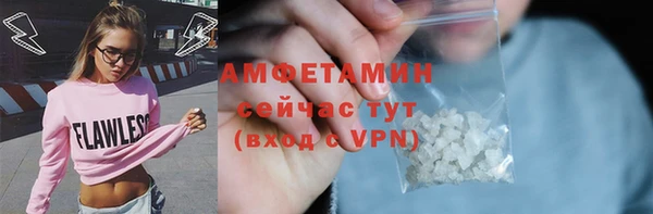 сатива Новокубанск