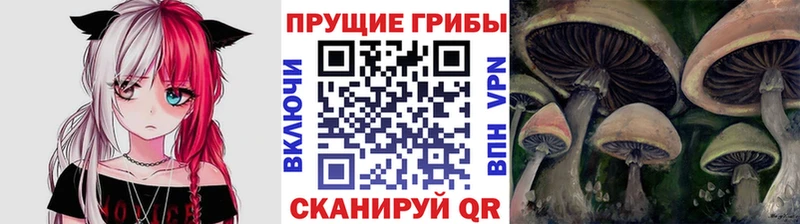 Галлюциногенные грибы MAGIC MUSHROOMS Купить где Красноармейск